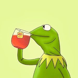 Meet your Posher, Hanna